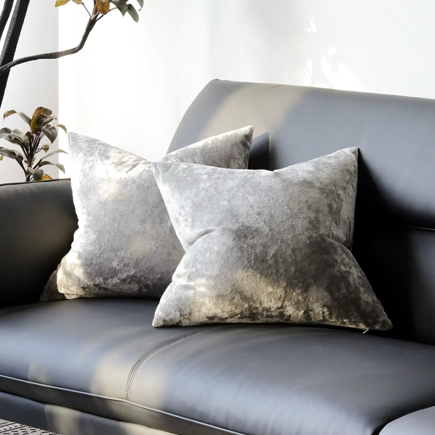 Solid Velvet Cushion Cover - Set of 2