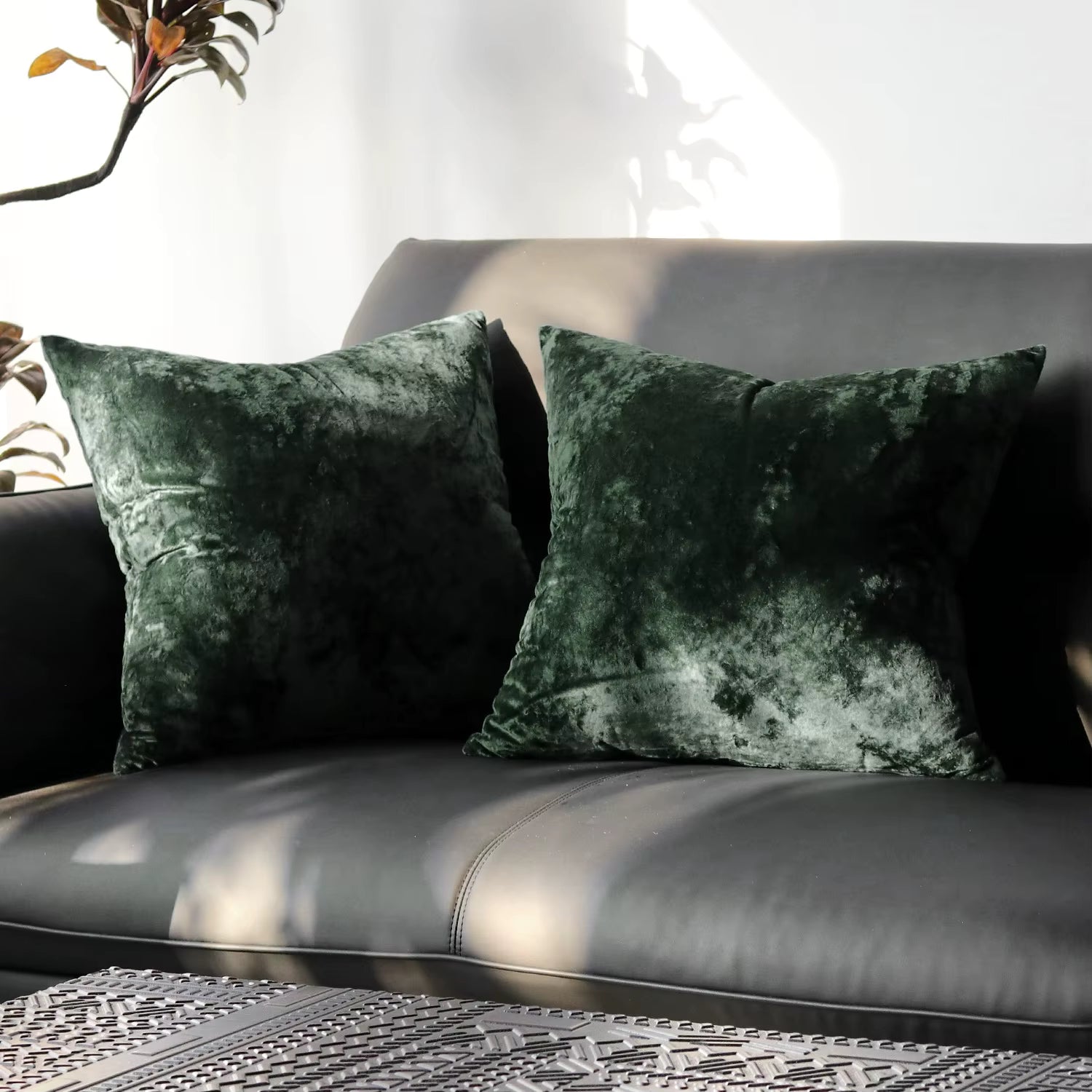 Solid Velvet Cushion Cover - Set of 2
