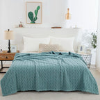 Thick Plush Fleece Throw Blanket